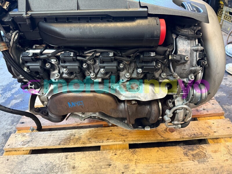 Big with watermark 4