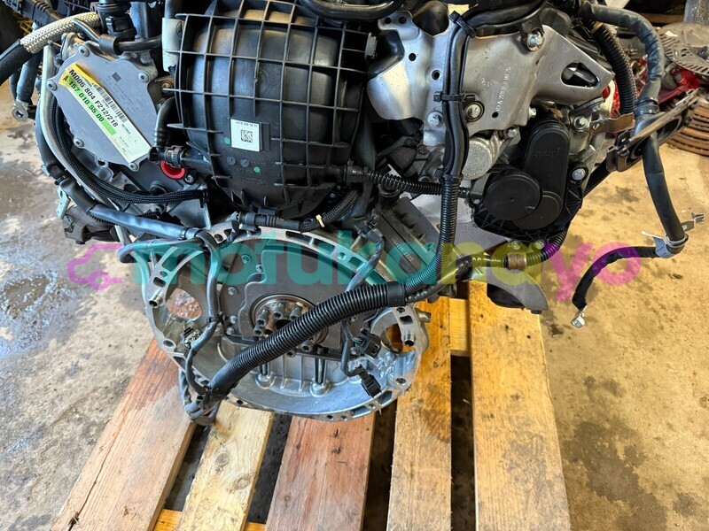 Big with watermark 5