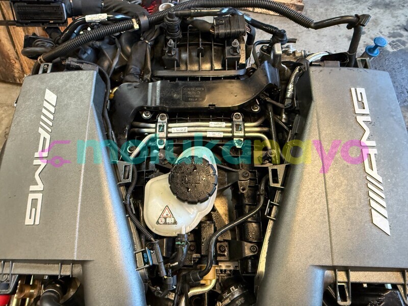 Big with watermark 7