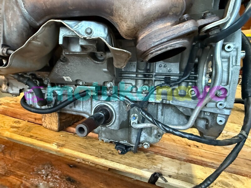 Big with watermark 9