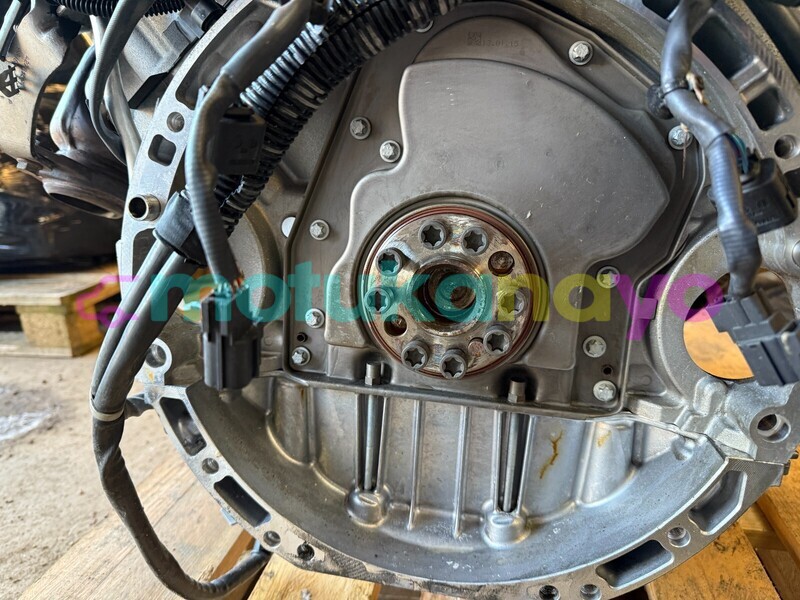 Big with watermark 10