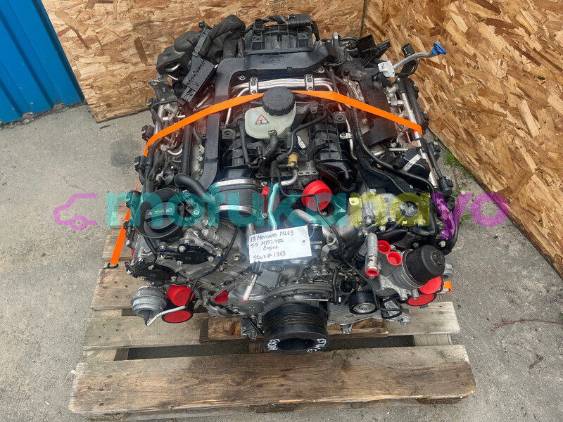 Big with watermark a