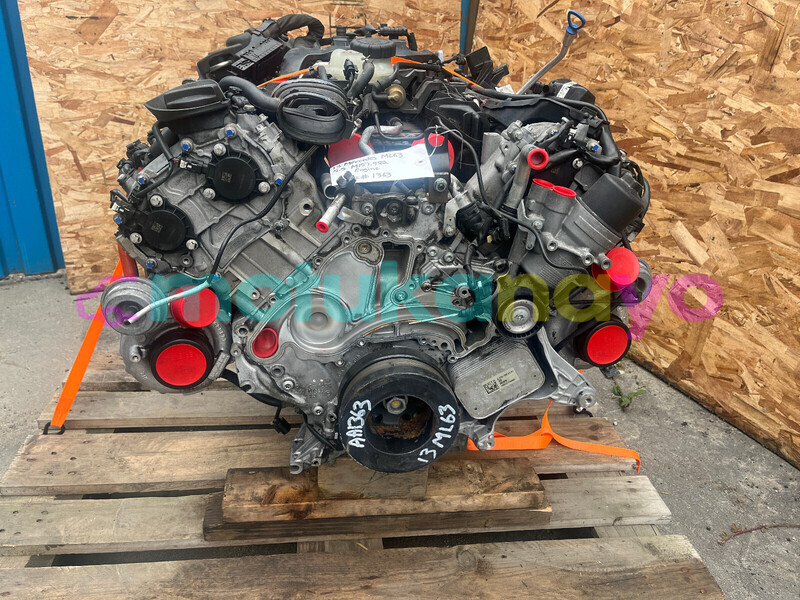 Big with watermark b