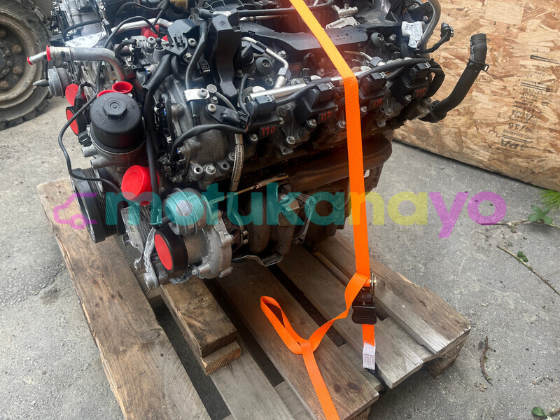 Big with watermark d