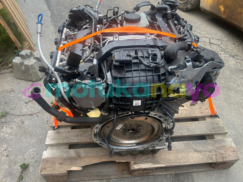 Big with watermark e