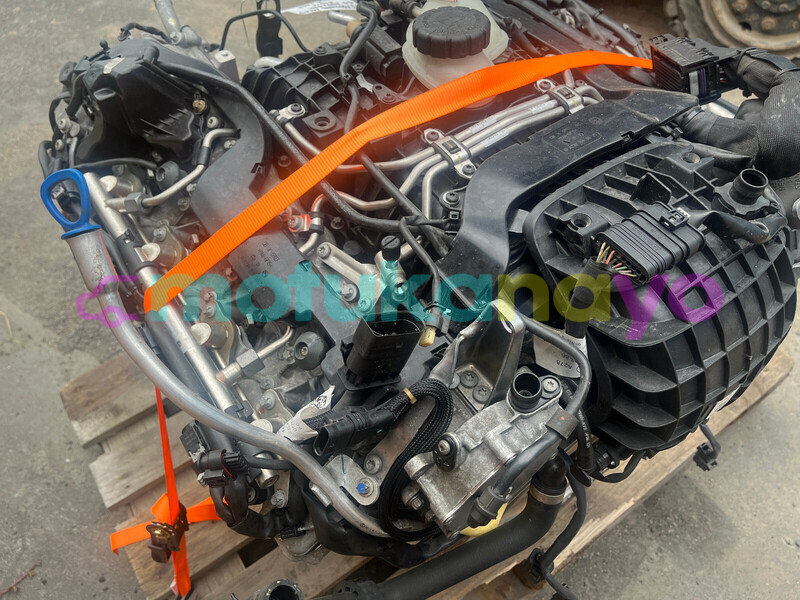 Big with watermark f