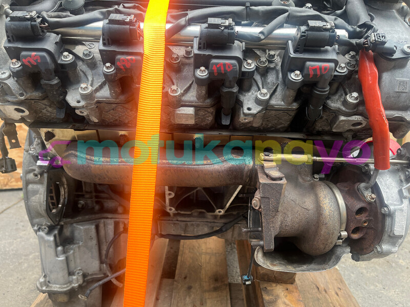 Big with watermark h