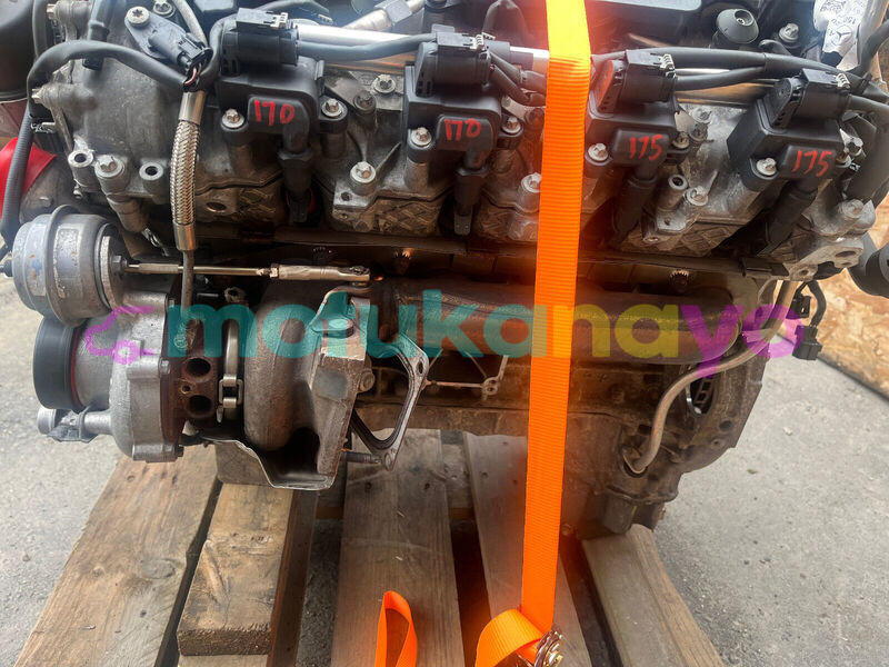 Big with watermark s l16007