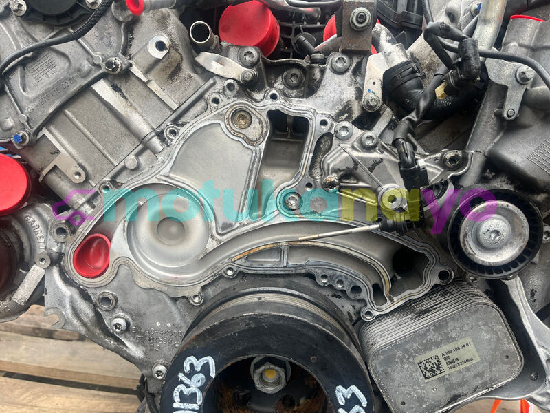 Big with watermark s l16009