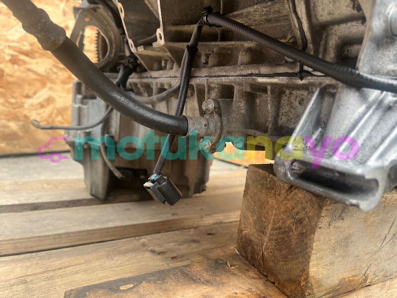 Big with watermark s l160010