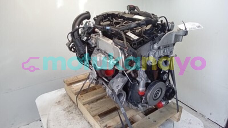 Big with watermark s l960