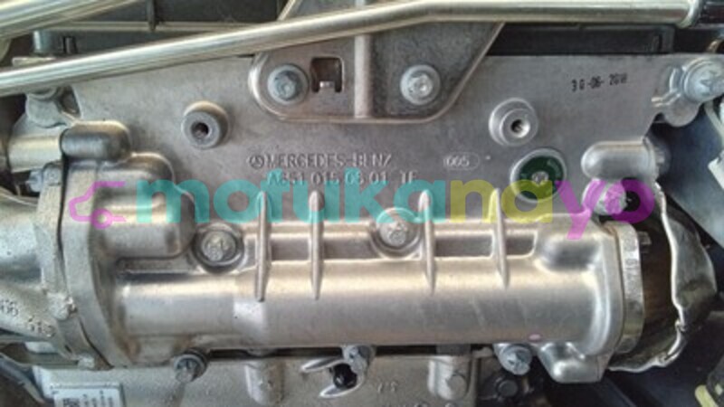 Big with watermark s l9603