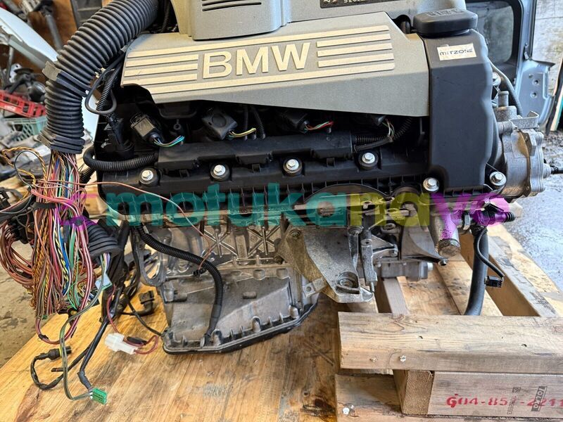 Big with watermark 2