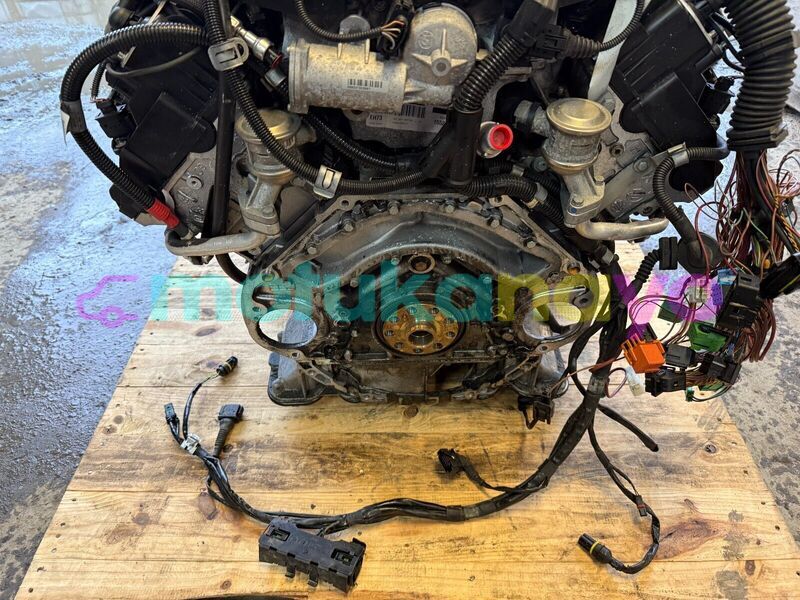 Big with watermark 4