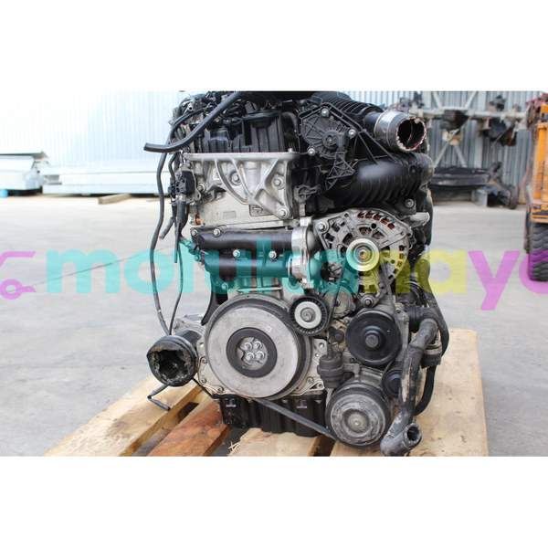 Big with watermark s l16002