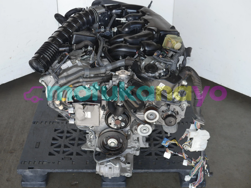 Big with watermark image a