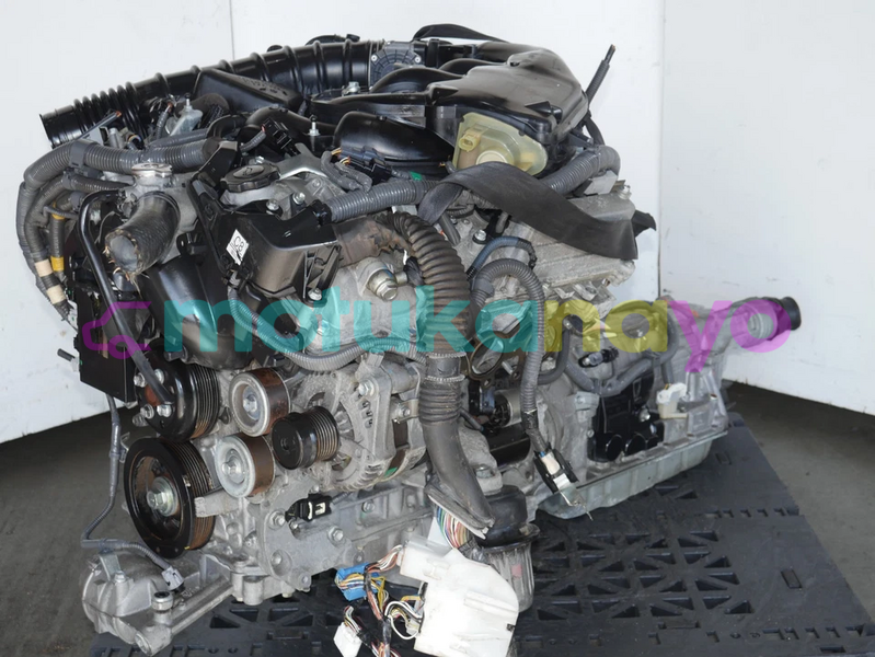 Big with watermark image b