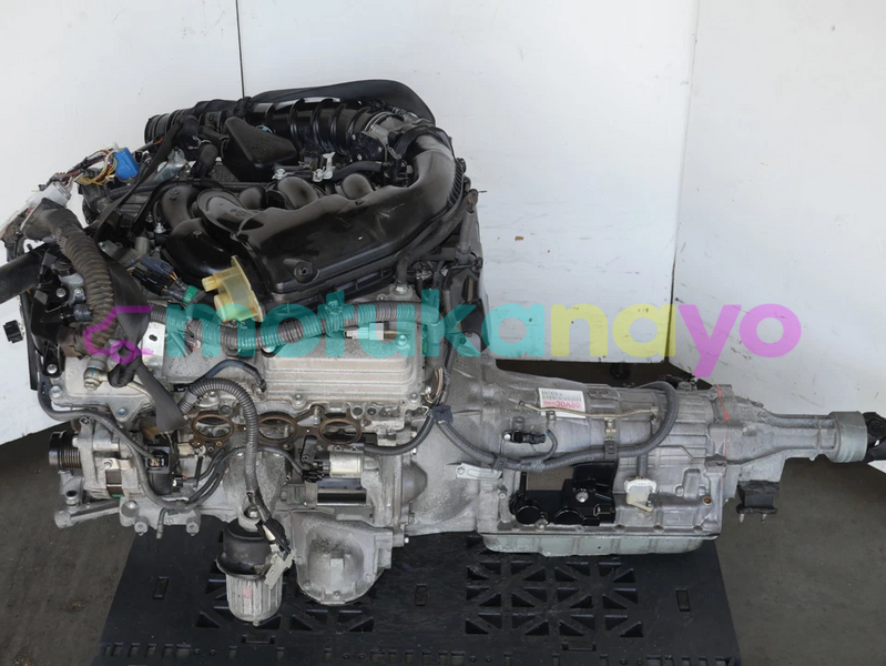 Big with watermark image d