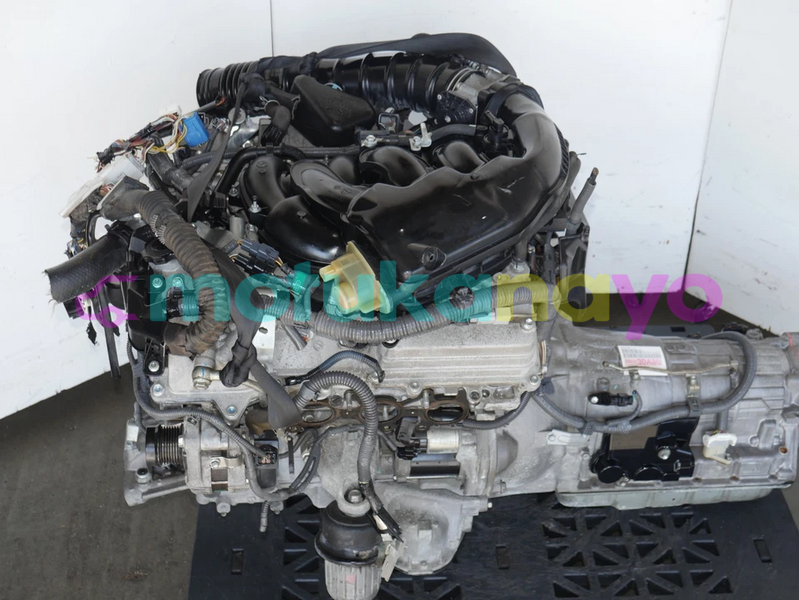 Big with watermark image f