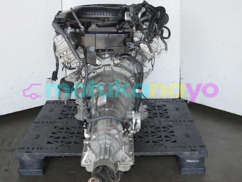 Big with watermark image g