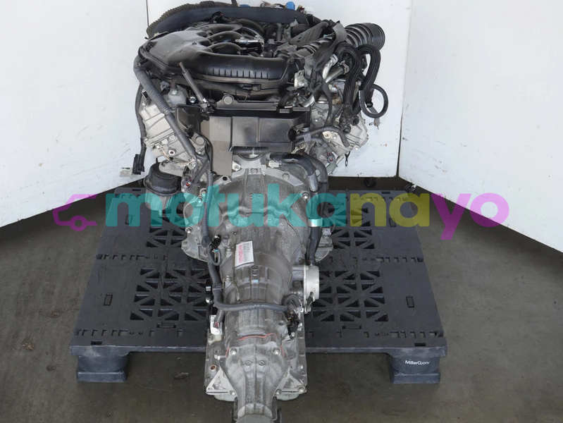 Big with watermark image h