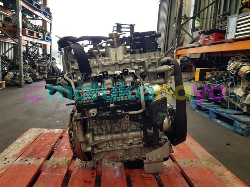 Big with watermark 1