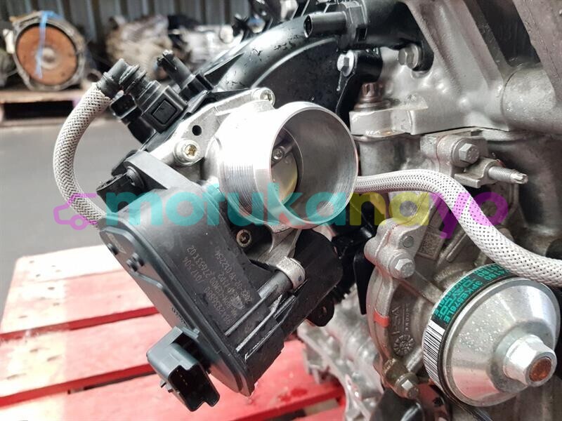 Big with watermark 3