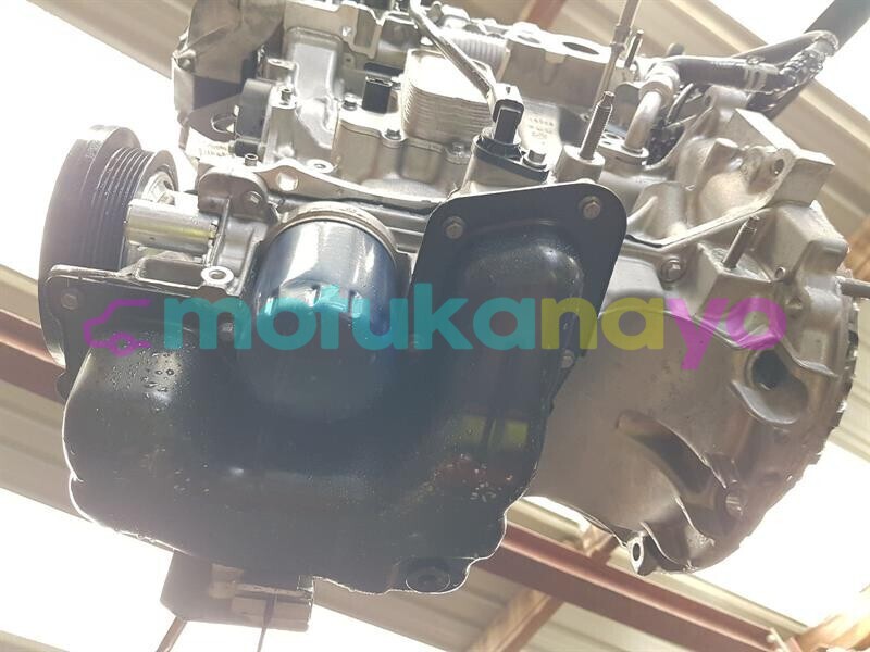 Big with watermark 4