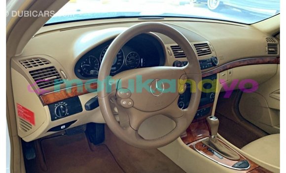Buy Import Mercedes-Benz 190 (W201) White Car in Import - Dubai in Bandundu Buy Import Mercedes-Benz 190 (W201) White Car in Import - Dubai in Bandundu