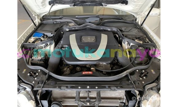 Buy Import Mercedes-Benz 190 (W201) White Car in Import - Dubai in Bandundu Buy Import Mercedes-Benz 190 (W201) White Car in Import - Dubai in Bandundu