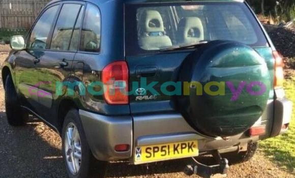 Buy Used Toyota RAV4 Green Car in Kinshasa in Kinshasa Buy Used Toyota RAV4 Green Car in Kinshasa in Kinshasa