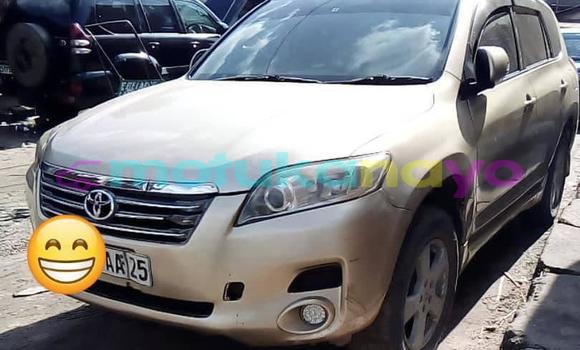 Buy Used Toyota Vanguard Brown Car in Kinshasa in Kinshasa Buy Used Toyota Vanguard Brown Car in Kinshasa in Kinshasa