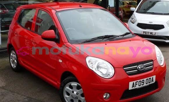 Buy Used Kia Picanto Red Car in Kinshasa in Kinshasa Buy Used Kia Picanto Red Car in Kinshasa in Kinshasa