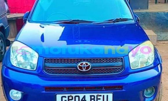 Buy Used Toyota RAV4 Blue Car in Kinshasa in Kinshasa Buy Used Toyota RAV4 Blue Car in Kinshasa in Kinshasa