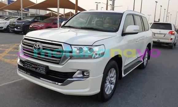 Buy Used Toyota Land Cruiser White Car in Kinshasa in Kinshasa Buy Used Toyota Land Cruiser White Car in Kinshasa in Kinshasa