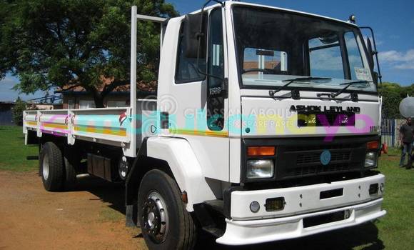 Buy New Ashok Leyland TRUCK CARGO White Truck in Import - Dubai in Bandundu Buy New Ashok Leyland TRUCK CARGO White Truck in Import - Dubai in Bandundu