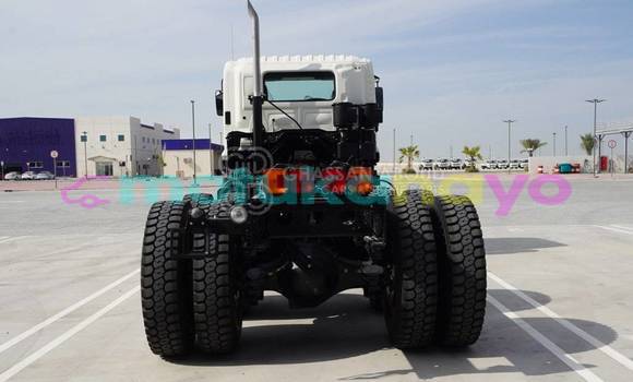 Buy New Hino ZS White Truck in Import - Dubai in Bandundu Buy New Hino ZS White Truck in Import - Dubai in Bandundu