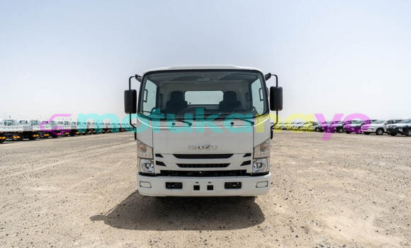Acheter Neuf Utilitaire Isuzu NPR 85H Blanc à Import - Dubai, Bandundu