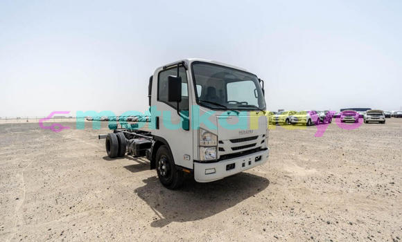 Buy New Isuzu NPR 85H White Truck in Import - Dubai in Bandundu Buy New Isuzu NPR 85H White Truck in Import - Dubai in Bandundu