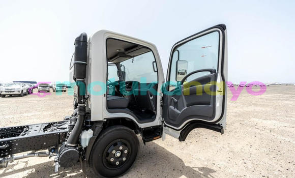 Buy New Isuzu NPR 85H White Truck in Import - Dubai in Bandundu Buy New Isuzu NPR 85H White Truck in Import - Dubai in Bandundu