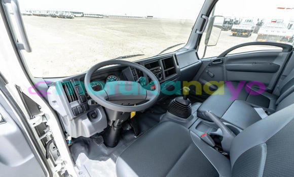Buy New Isuzu NPR 85H White Truck in Import - Dubai in Bandundu Buy New Isuzu NPR 85H White Truck in Import - Dubai in Bandundu