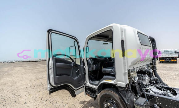 Buy New Isuzu NPR 85H White Truck in Import - Dubai in Bandundu Buy New Isuzu NPR 85H White Truck in Import - Dubai in Bandundu