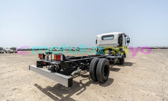 Buy New Isuzu NPR 85H White Truck in Import - Dubai in Bandundu Buy New Isuzu NPR 85H White Truck in Import - Dubai in Bandundu