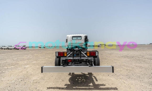 Buy New Isuzu NPR 85H White Truck in Import - Dubai in Bandundu Buy New Isuzu NPR 85H White Truck in Import - Dubai in Bandundu