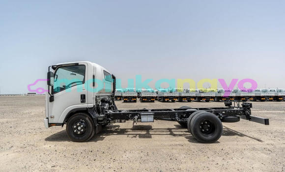 Buy New Isuzu NPR 85H White Truck in Import - Dubai in Bandundu Buy New Isuzu NPR 85H White Truck in Import - Dubai in Bandundu