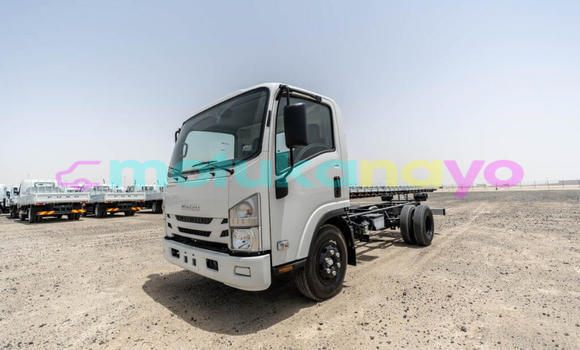 Buy New Isuzu NPR 85H White Truck in Import - Dubai in Bandundu Buy New Isuzu NPR 85H White Truck in Import - Dubai in Bandundu
