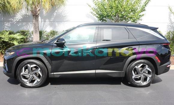 Buy Import Hyundai Tucson Black Car in Kinshasa in Kinshasa Buy Import Hyundai Tucson Black Car in Kinshasa in Kinshasa