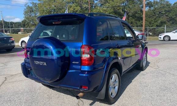 Buy Import Toyota RAV 4 Blue Car in Aba in Haut-Congo Buy Import Toyota RAV 4 Blue Car in Aba in Haut-Congo