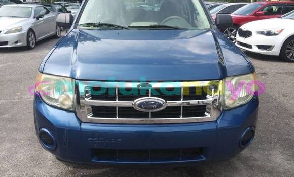 Buy Import Ford Escape Blue Car in Bafwasende in Haut-Congo Buy Import Ford Escape Blue Car in Bafwasende in Haut-Congo