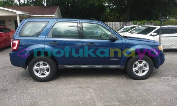 Buy Import Ford Escape Blue Car in Bafwasende in Haut-Congo Buy Import Ford Escape Blue Car in Bafwasende in Haut-Congo